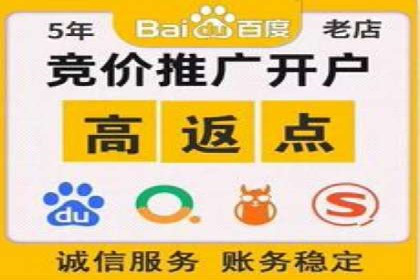 竞价推广技巧分享：成功案例剖析